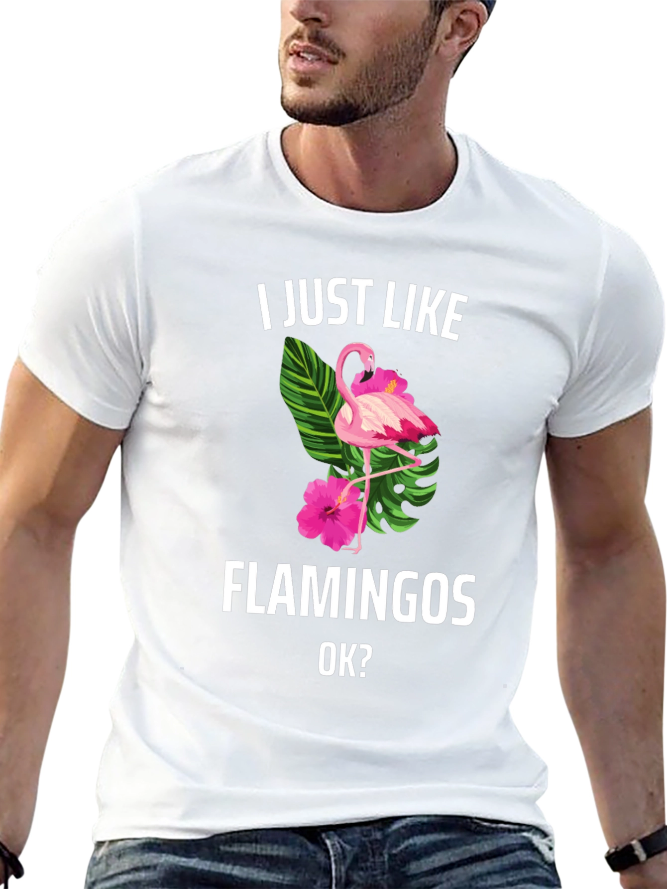 I Just Like Flamingos T-Shirt
