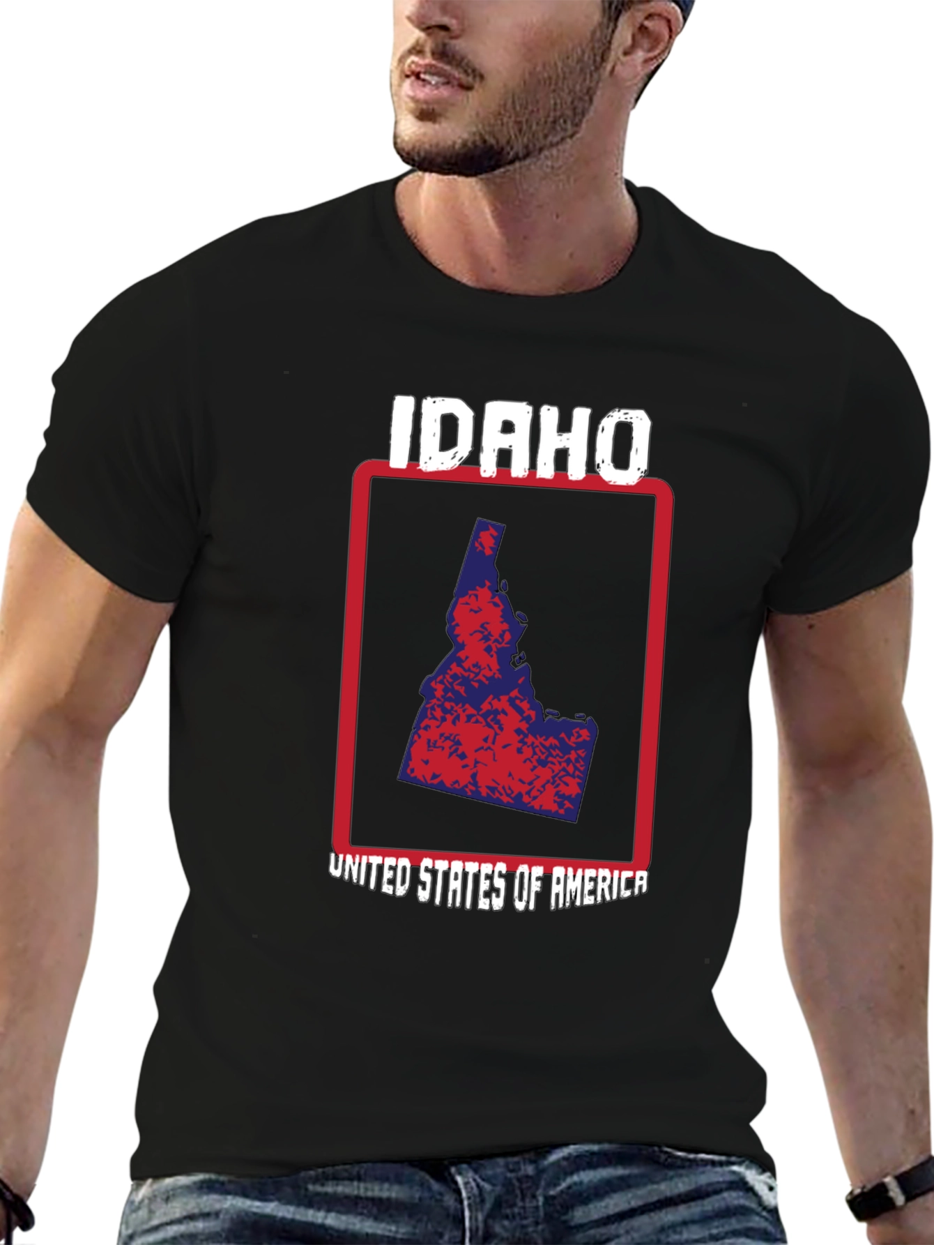 Idaho State Pride T-Shirt - USA Map Graphic Tee