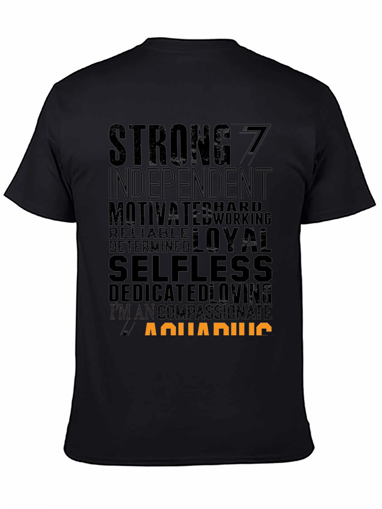 Aquarius Zodiac T-Shirt - Strong Independent Motivated