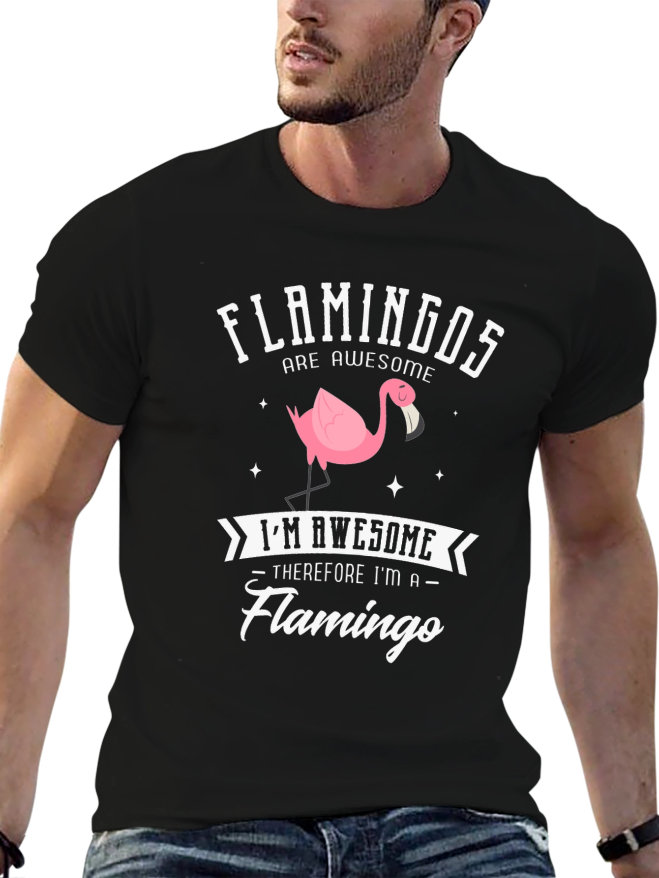 Funny Flamingo T-Shirt - Flamingos Are Awesome!