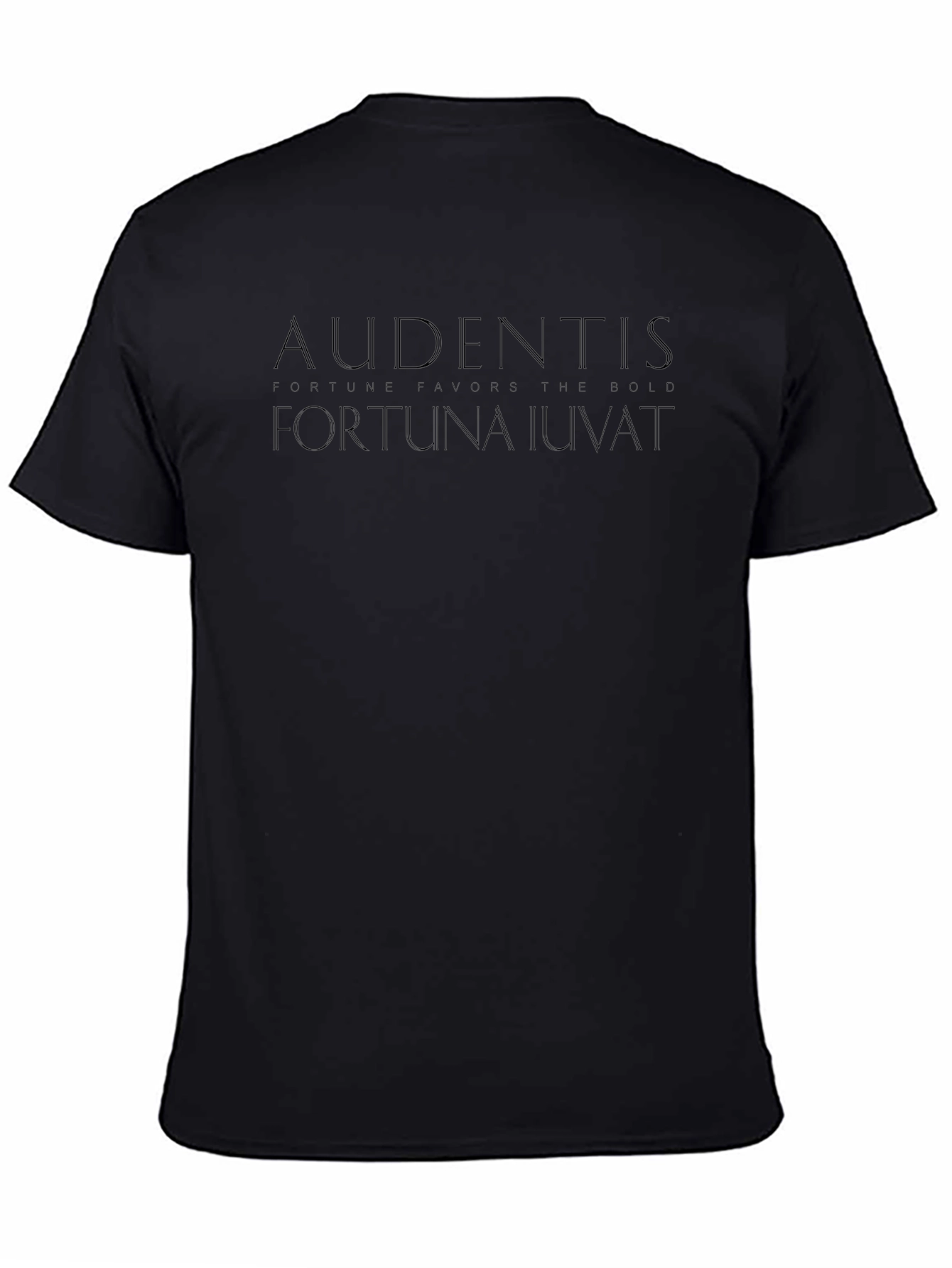 Audentes Fortuna Iuvat Graphic Tee