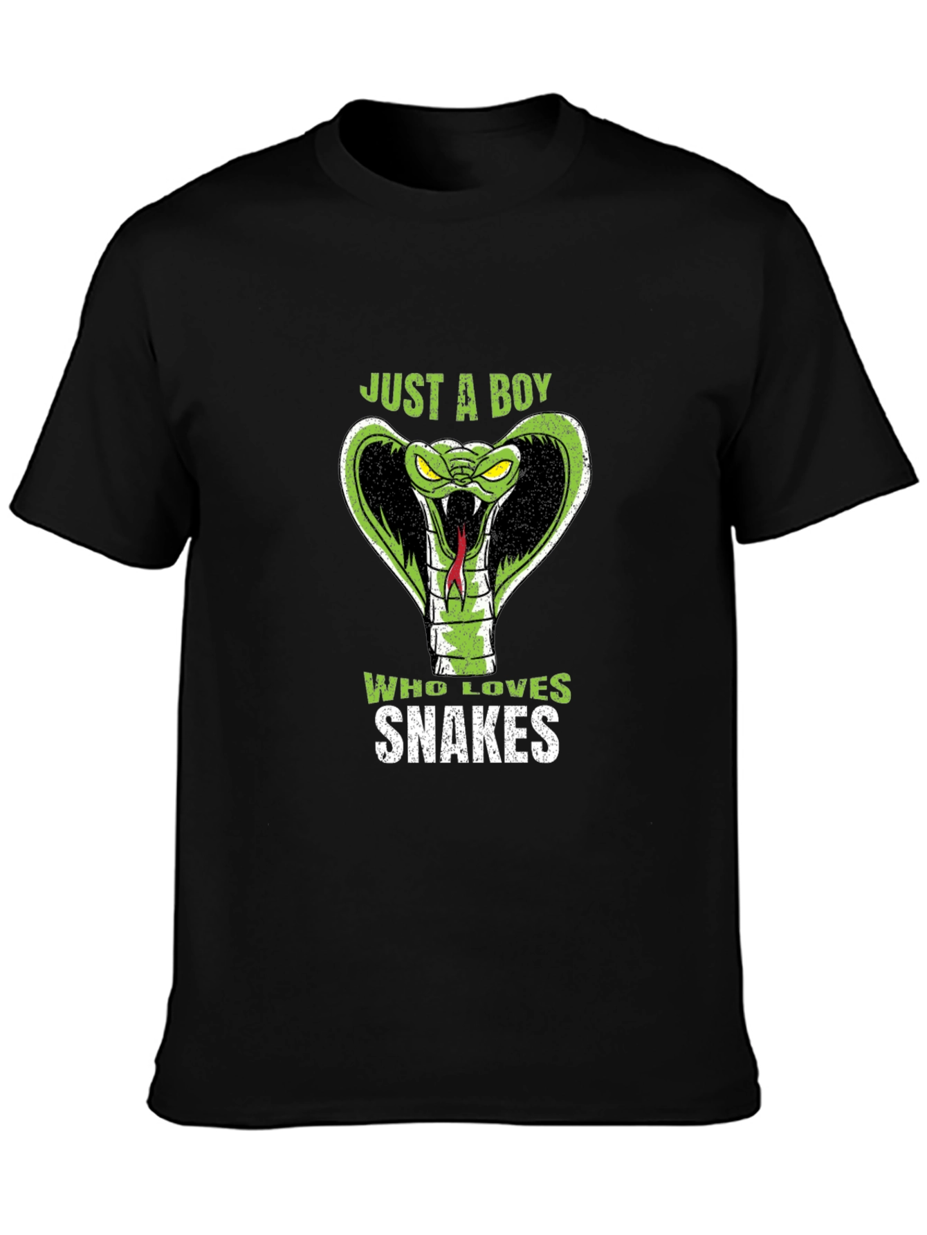 Just a Boy Who Loves Snakes Graphic T-Shirt