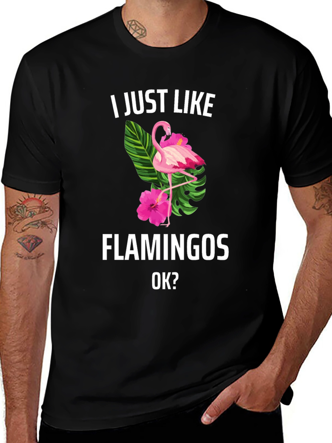I Just Like Flamingos T-Shirt